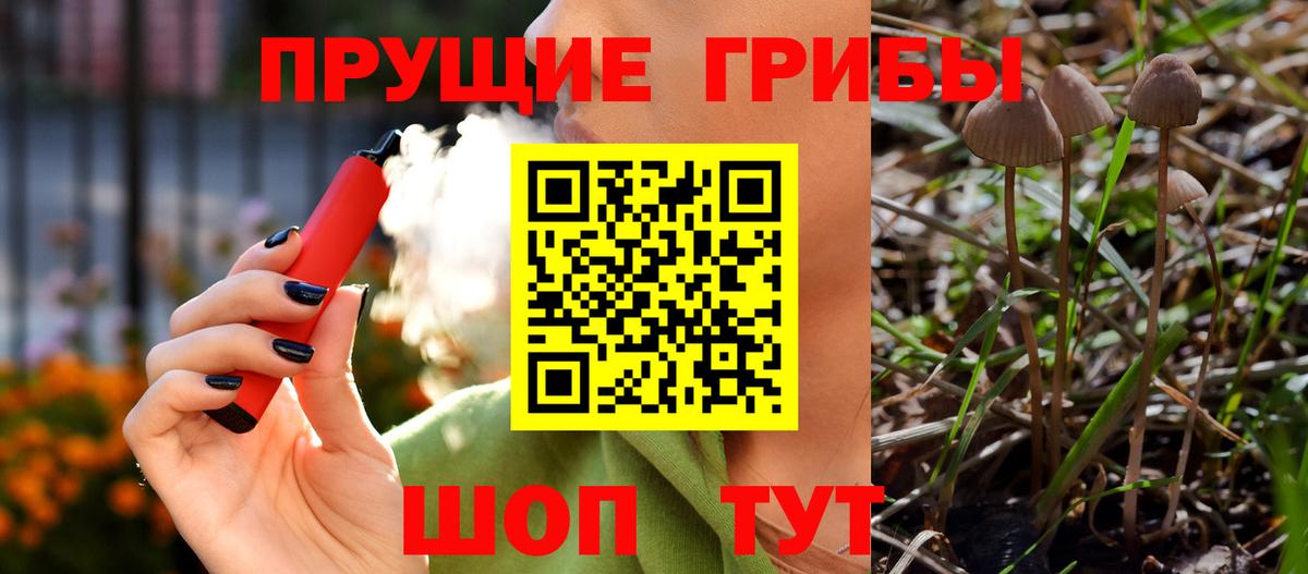 Псилоцибиновые грибы Psilocybe  Вход с VPN  Шелехов  Галлюциногенные грибы MAGIC MUSHROOMS 