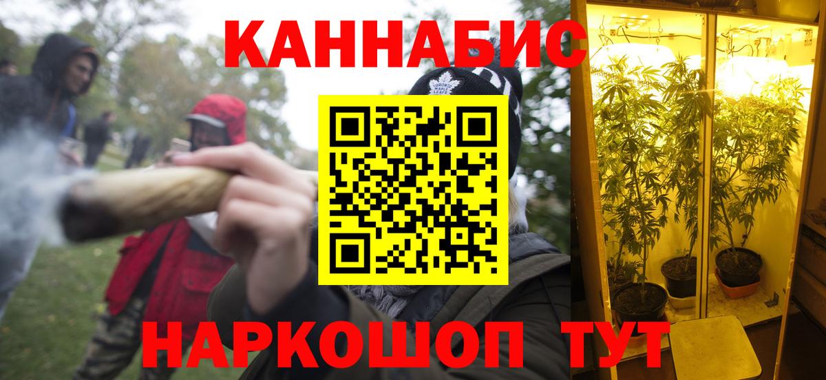 Конопля тримм  Вход с VPN  Шелехов  Бошки марихуана сатива 
